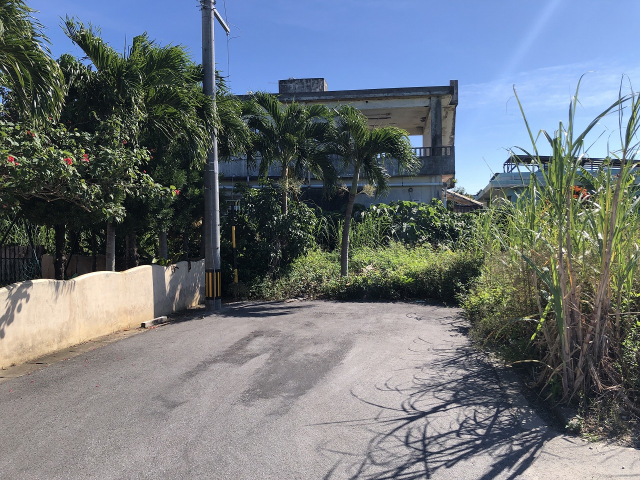 腰原の静かな行き止まり　53.5坪　畑