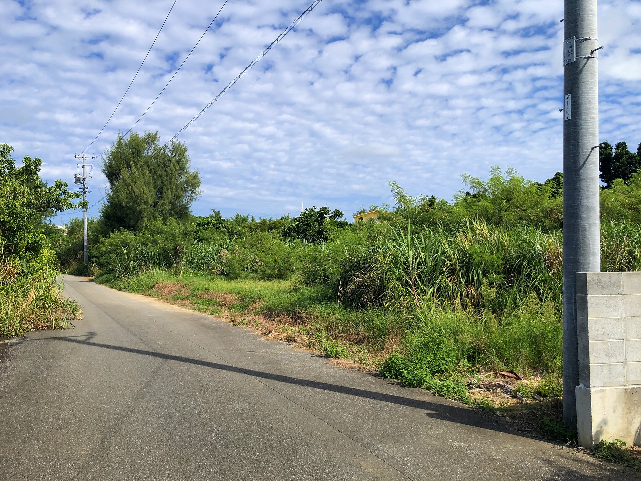 荷川取 ホテルが増えつつあるエリア　580坪　畑