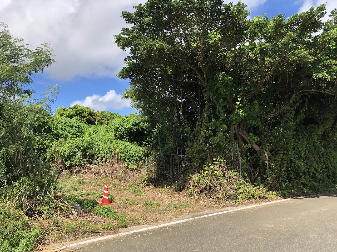 平良西里　728坪　畑・原野