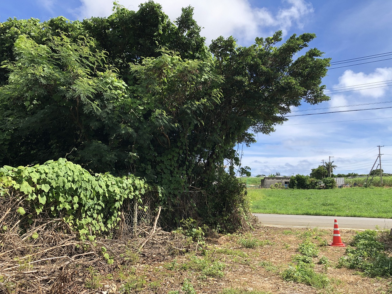 平良西里　728坪　畑・原野