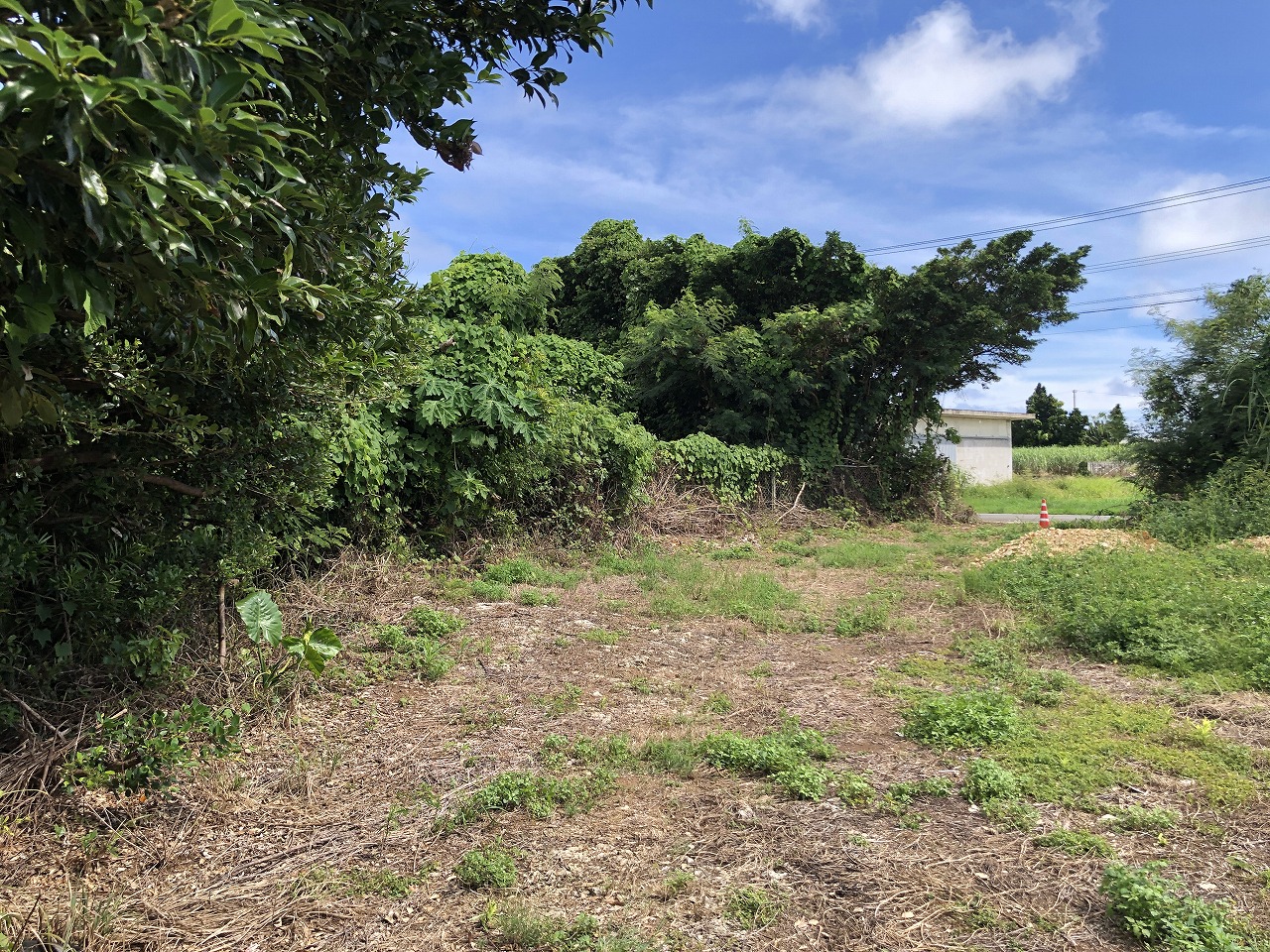 平良西里　728坪　畑・原野