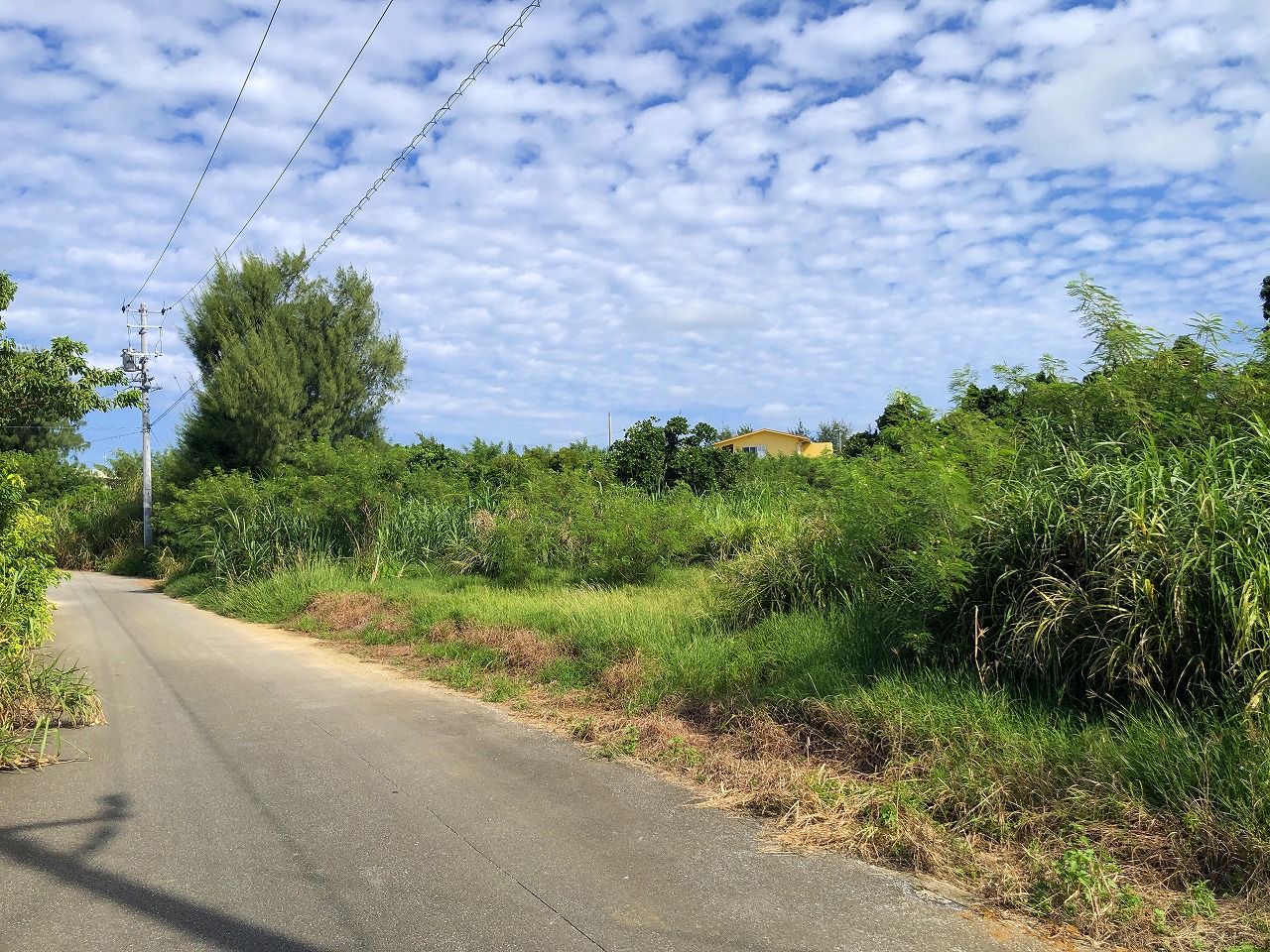 荷川取 ホテルが増えつつあるエリア　580坪　畑