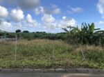 西原集落の端　さとうきび畑が広がる　96.8坪　畑