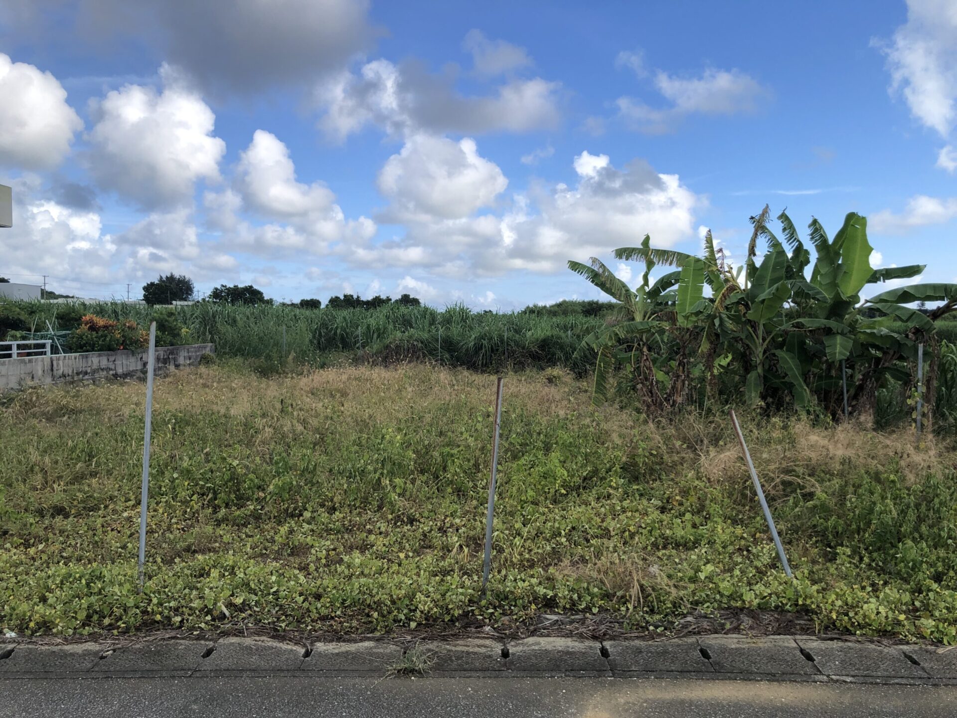 西原集落の端　さとうきび畑が広がる　96.8坪　畑