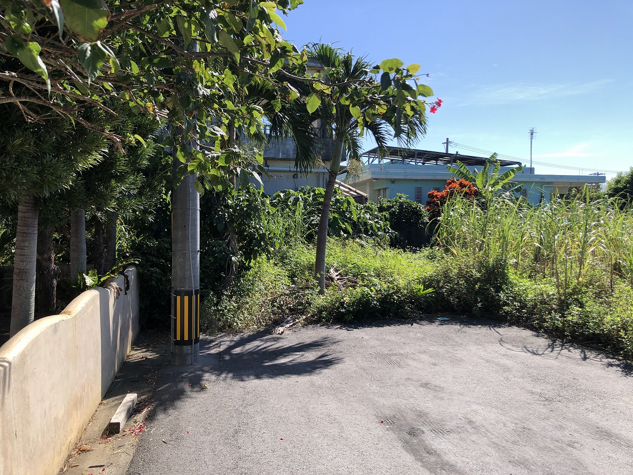 腰原の静かな行き止まり　53.5坪　畑