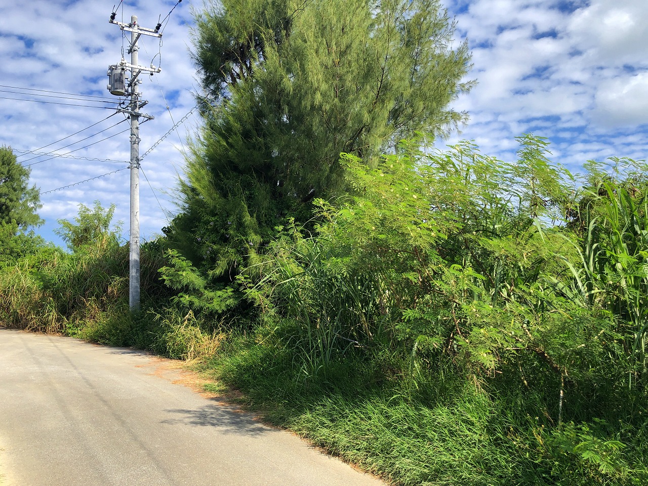 荷川取 ホテルが増えつつあるエリア　580坪　畑