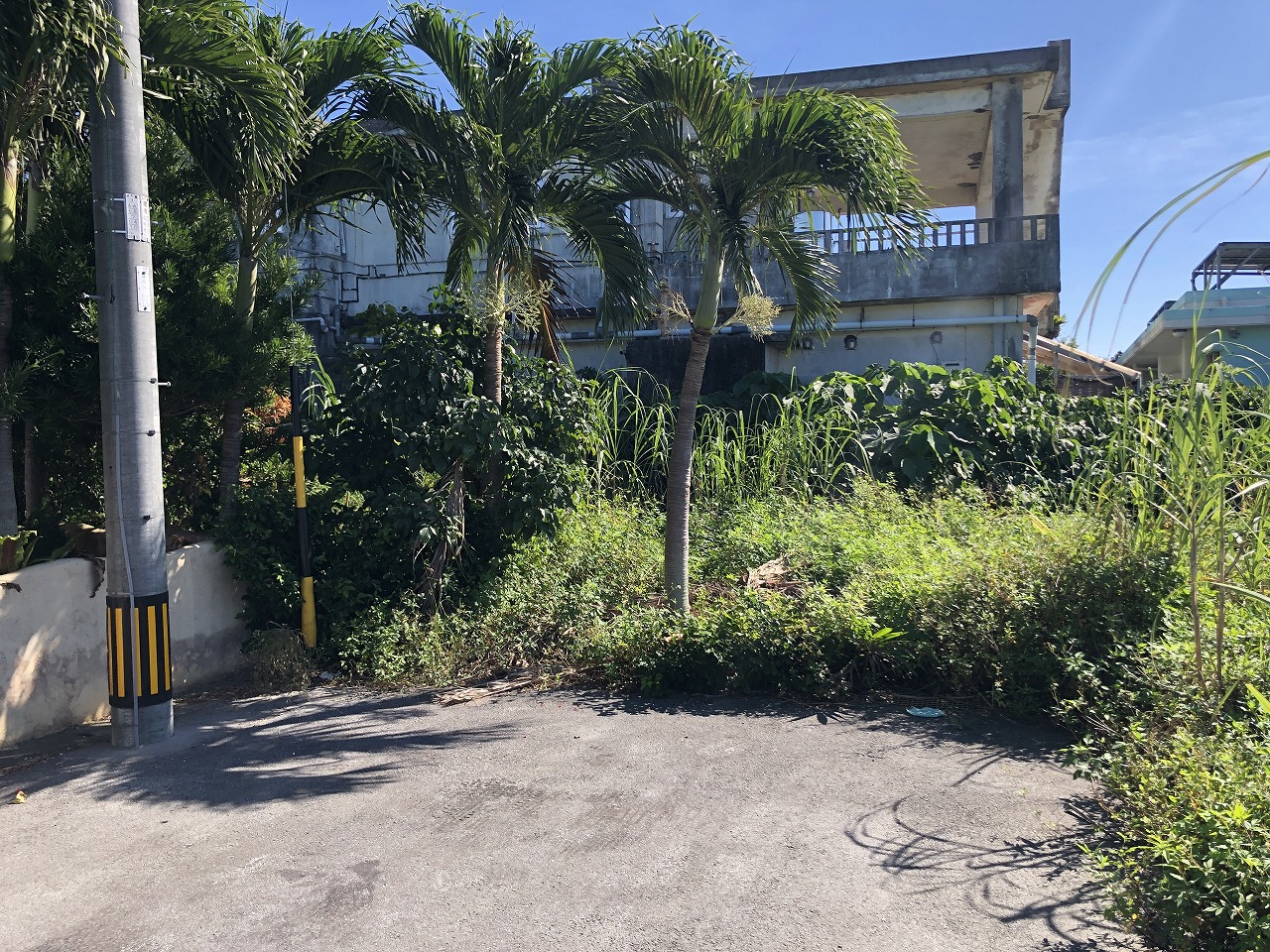 腰原の静かな行き止まり　53.5坪　畑