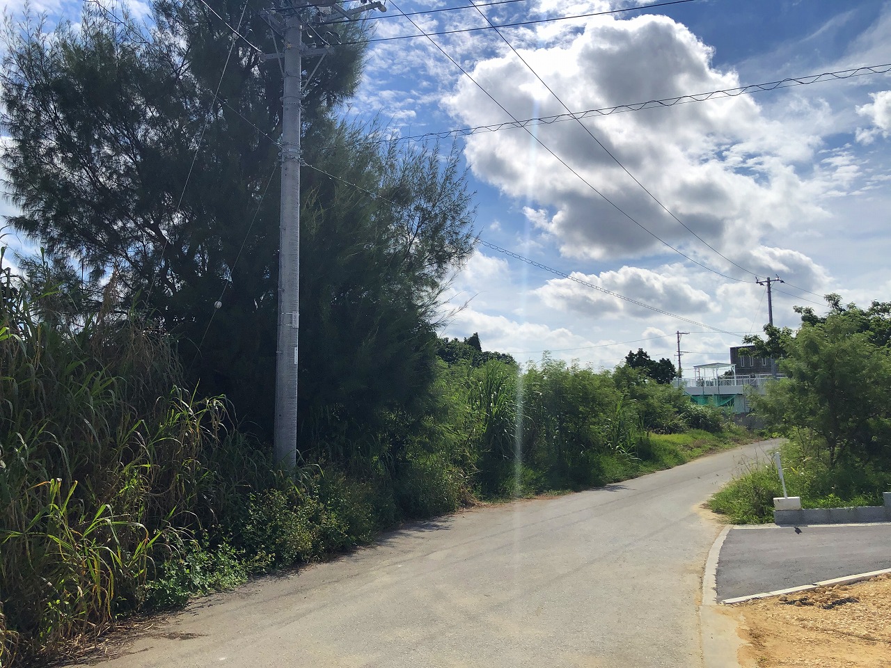 荷川取 ホテルが増えつつあるエリア　580坪　畑