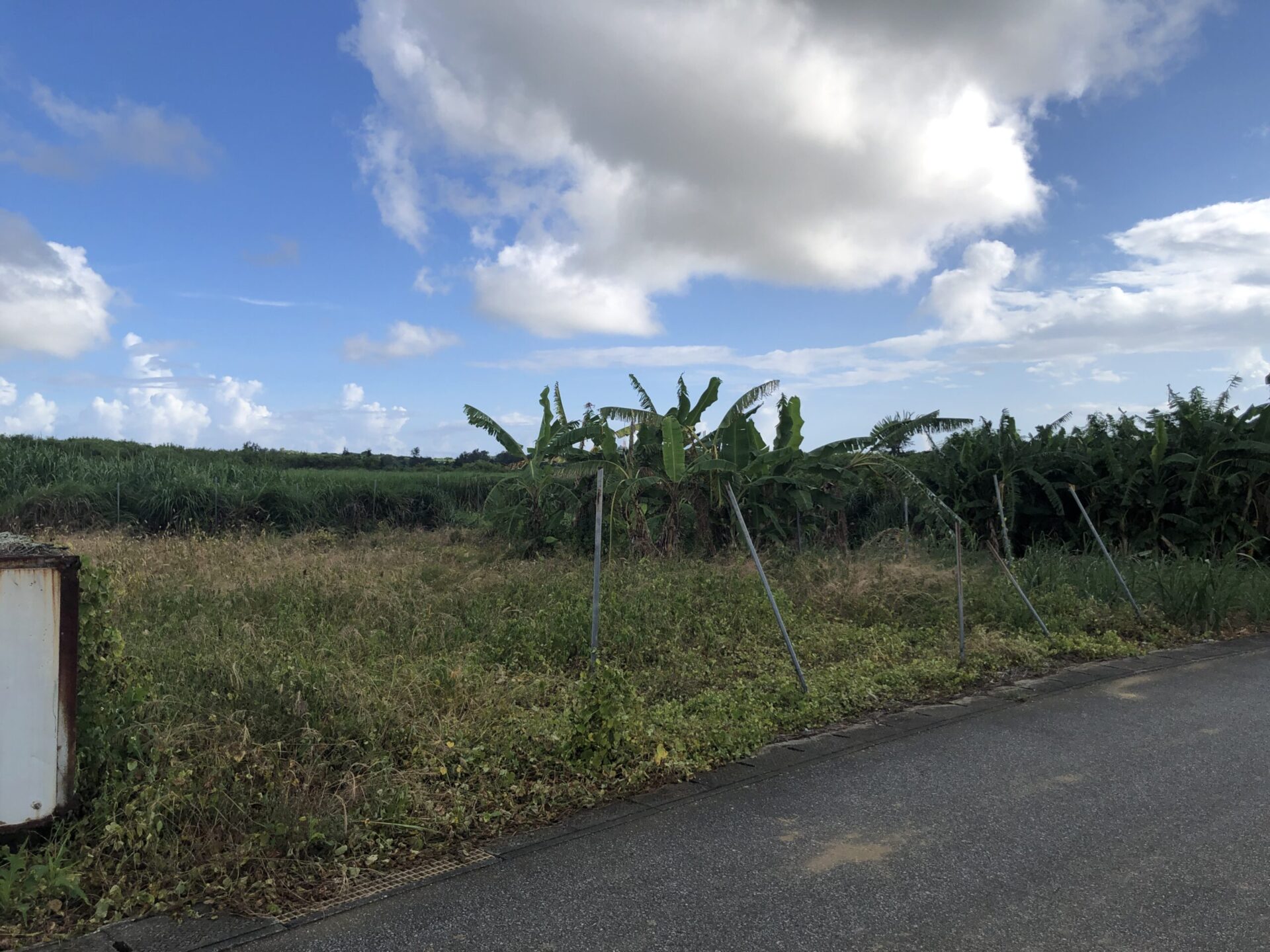 西原集落の端　さとうきび畑が広がる　96.8坪　畑