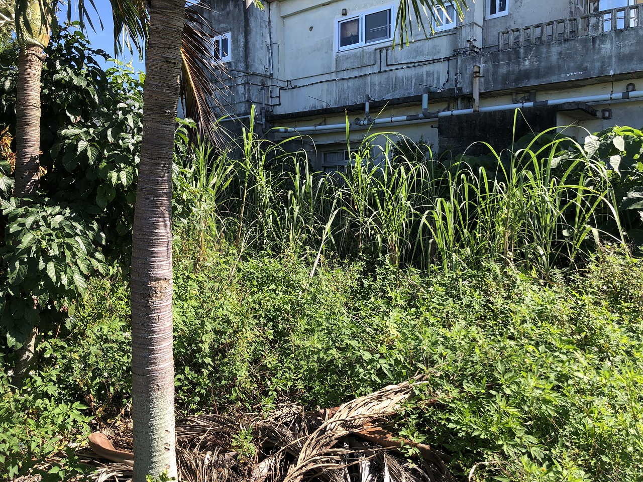 腰原の静かな行き止まり　53.5坪　畑