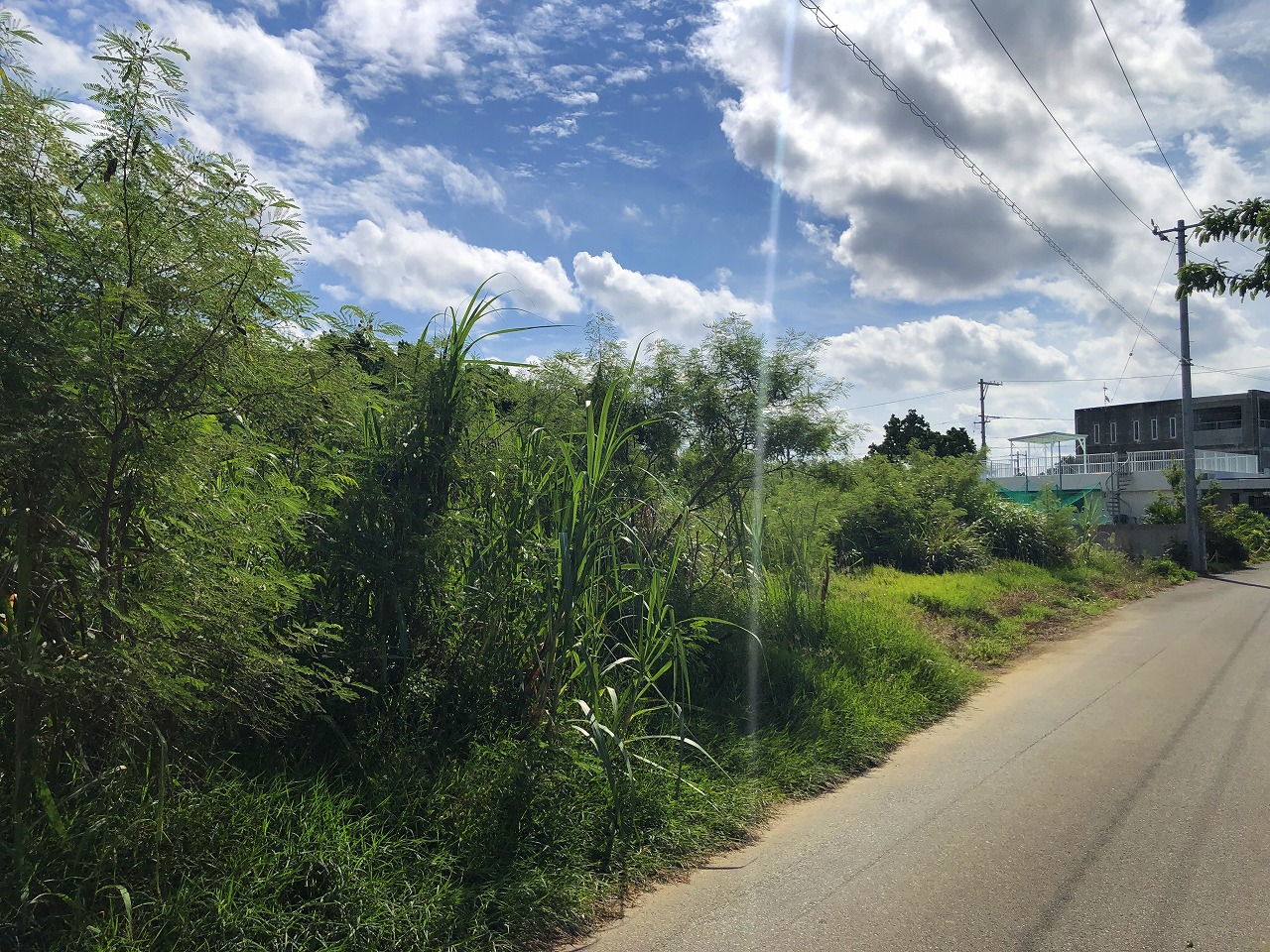 荷川取 ホテルが増えつつあるエリア　580坪　畑