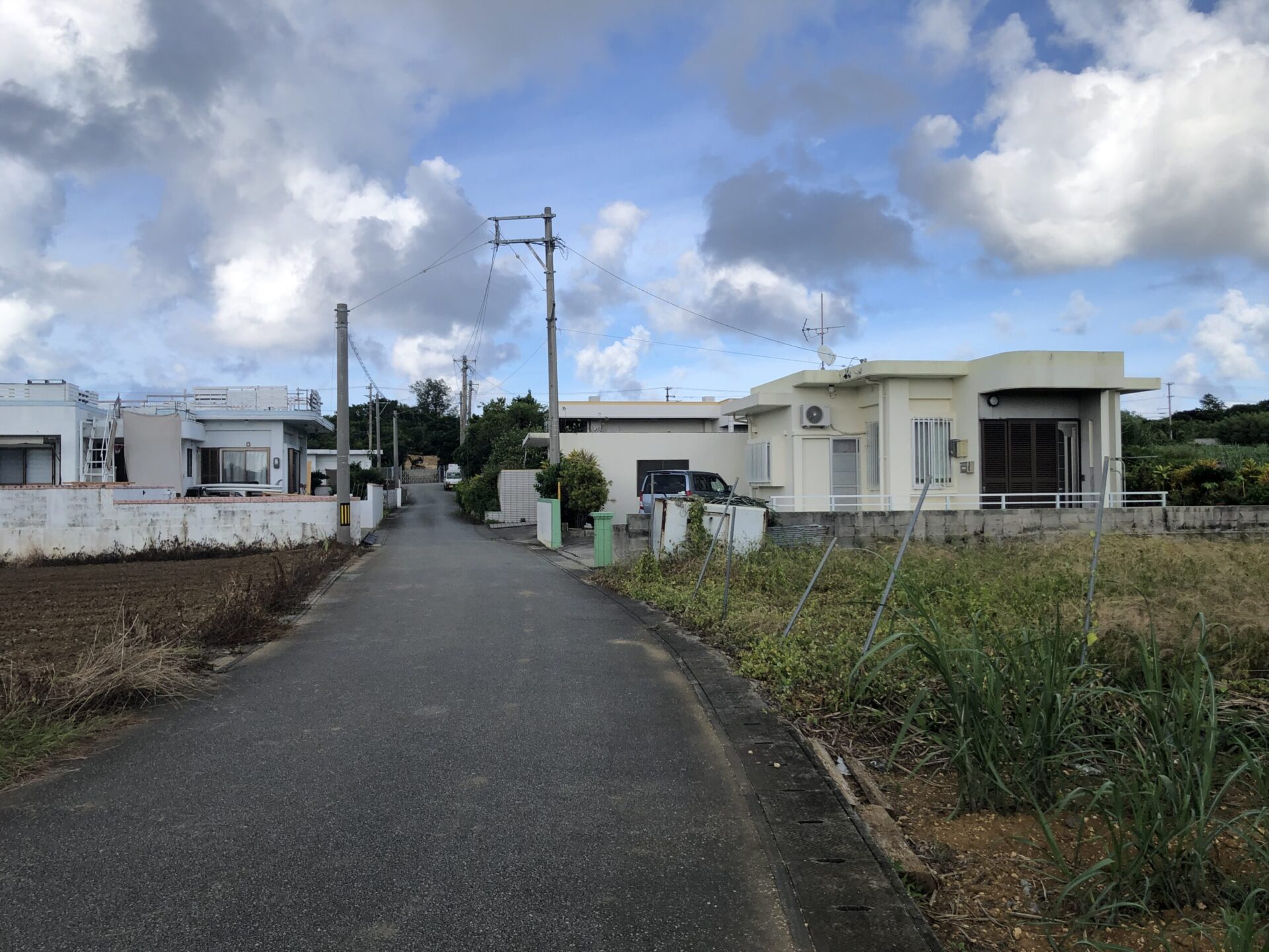 西原集落の端　さとうきび畑が広がる　96.8坪　畑