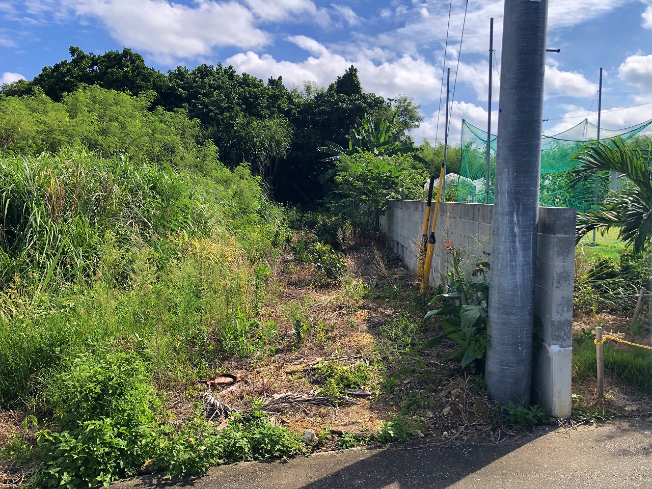 荷川取 ホテルが増えつつあるエリア　580坪　畑