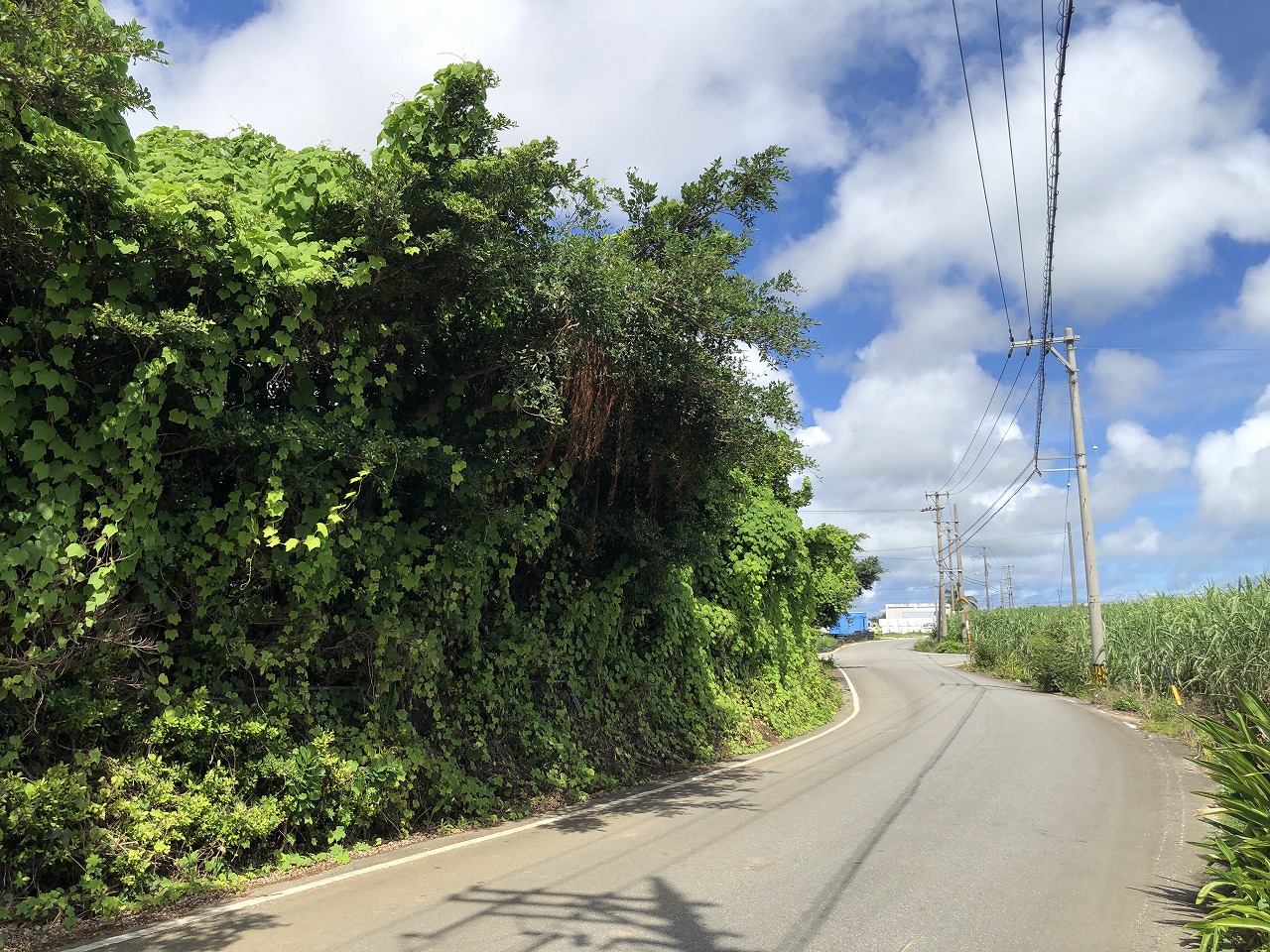 平良西里　728坪　畑・原野