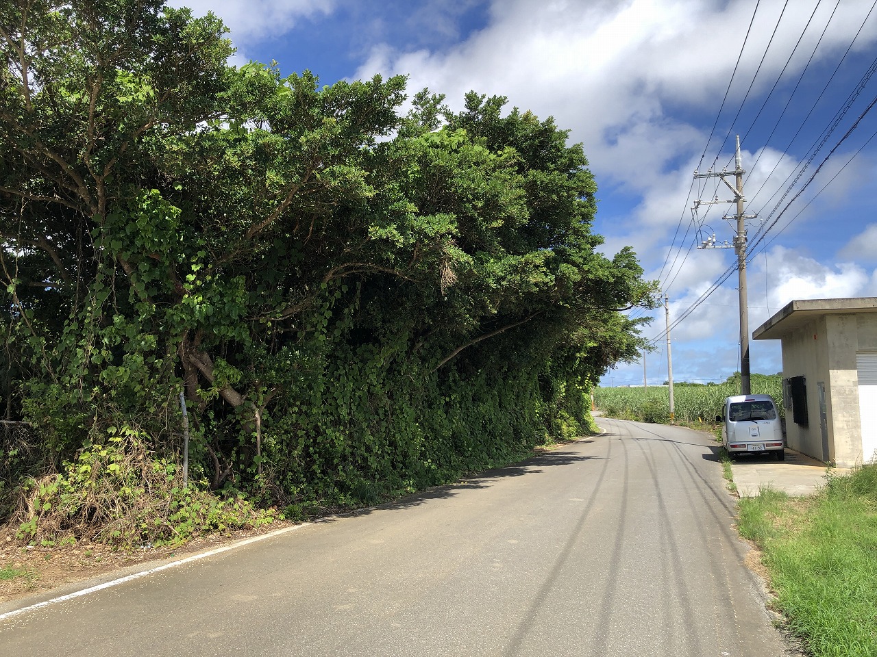 平良西里　728坪　畑・原野