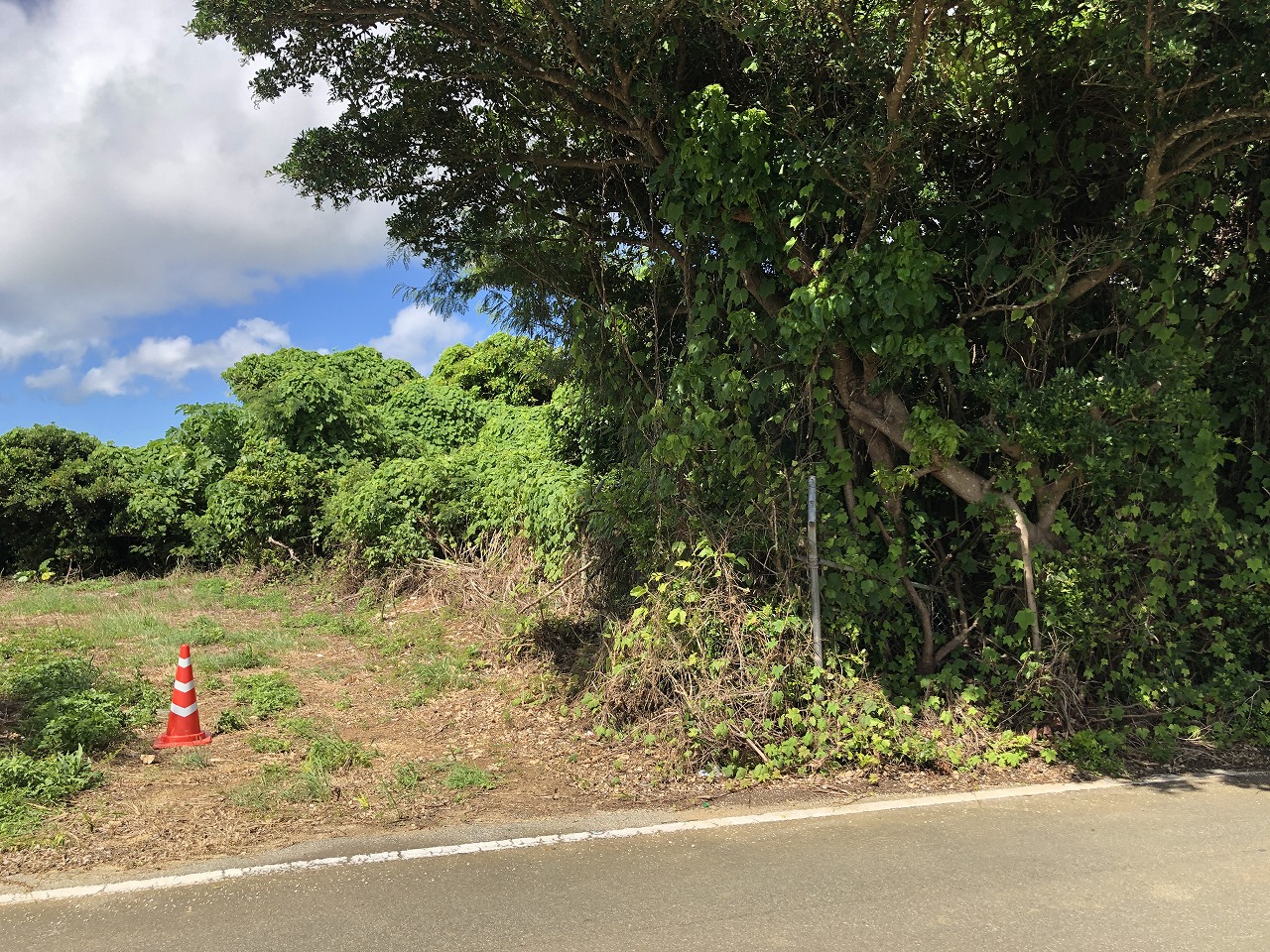 平良西里　728坪　畑・原野