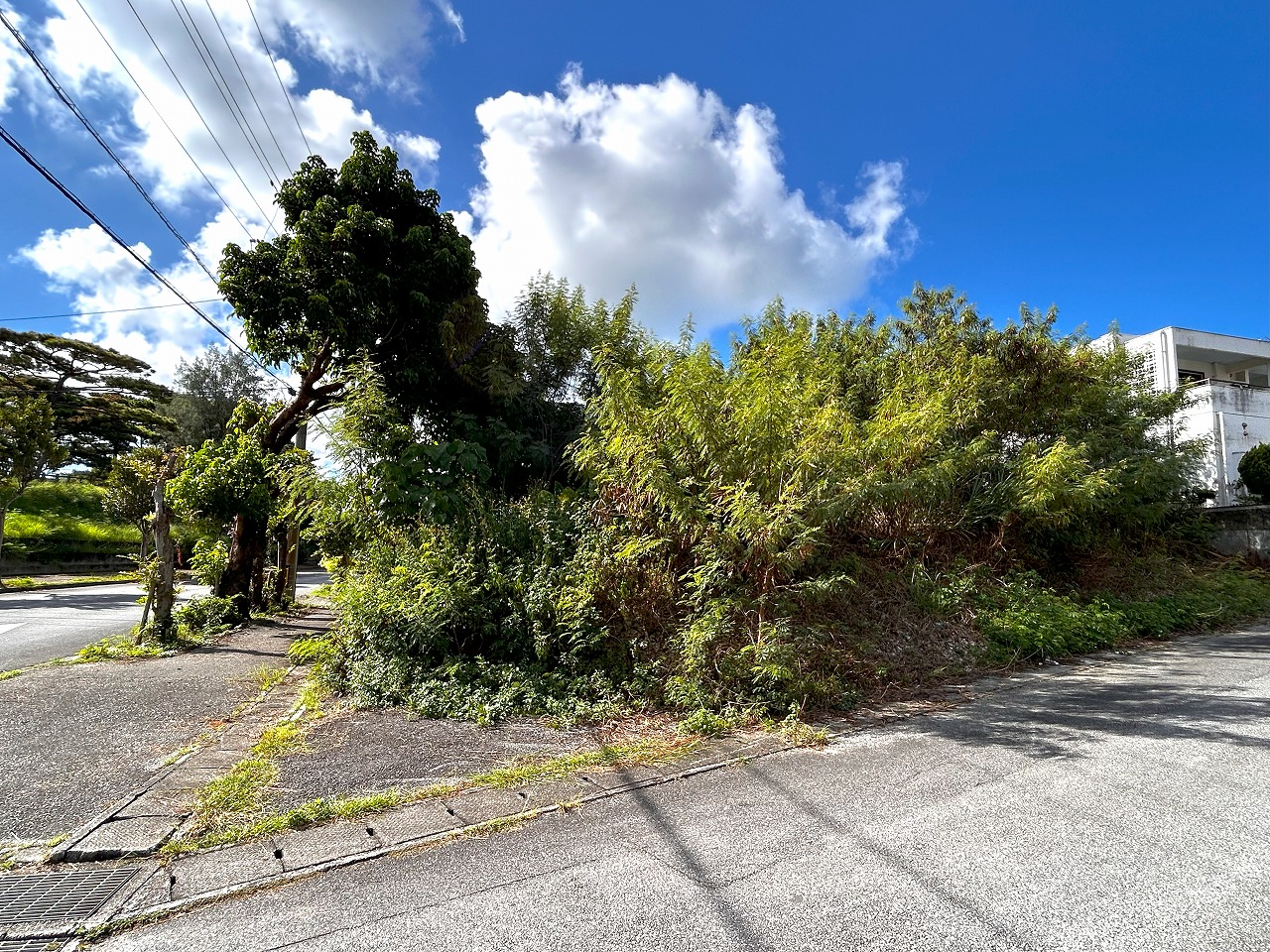 平良下里　大原南公園大通り沿いの角地　約133坪　宅地