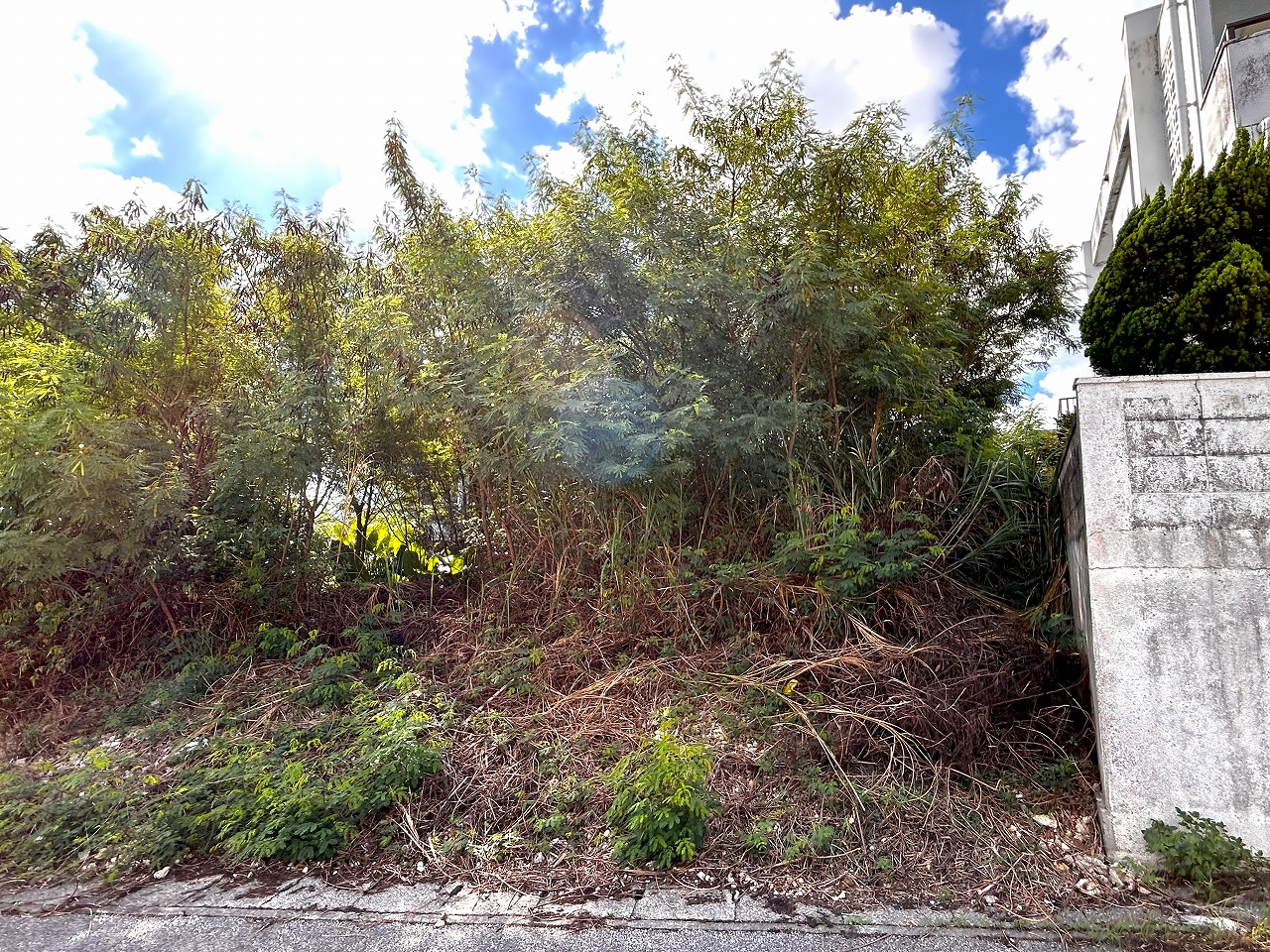 平良下里　大原南公園大通り沿いの角地　約133坪　宅地