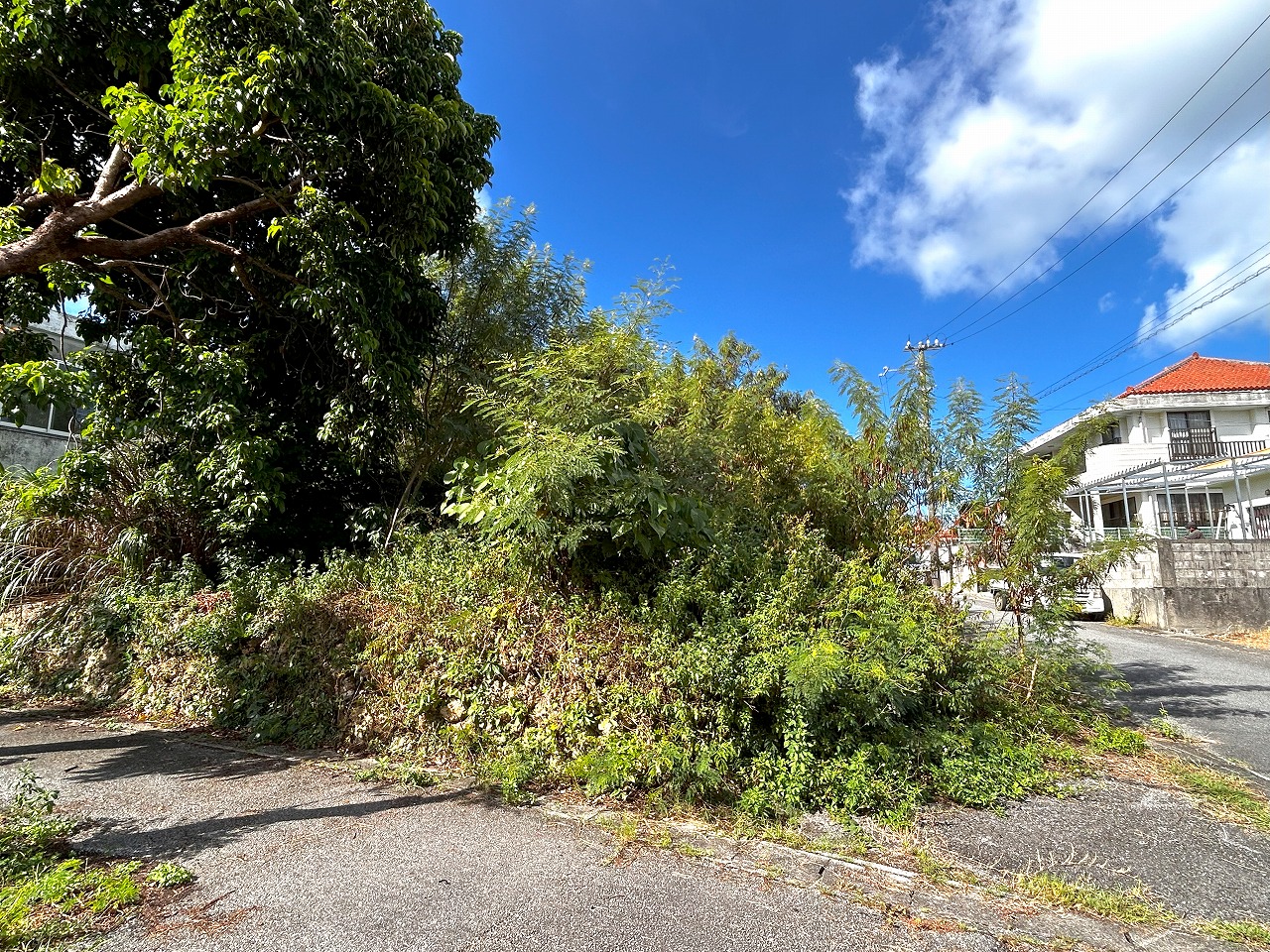 平良下里　大原南公園大通り沿いの角地　約133坪　宅地