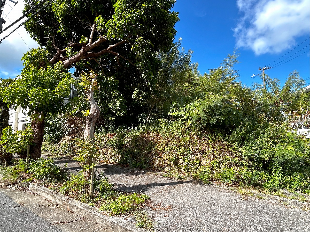 平良下里　大原南公園大通り沿いの角地　約133坪　宅地