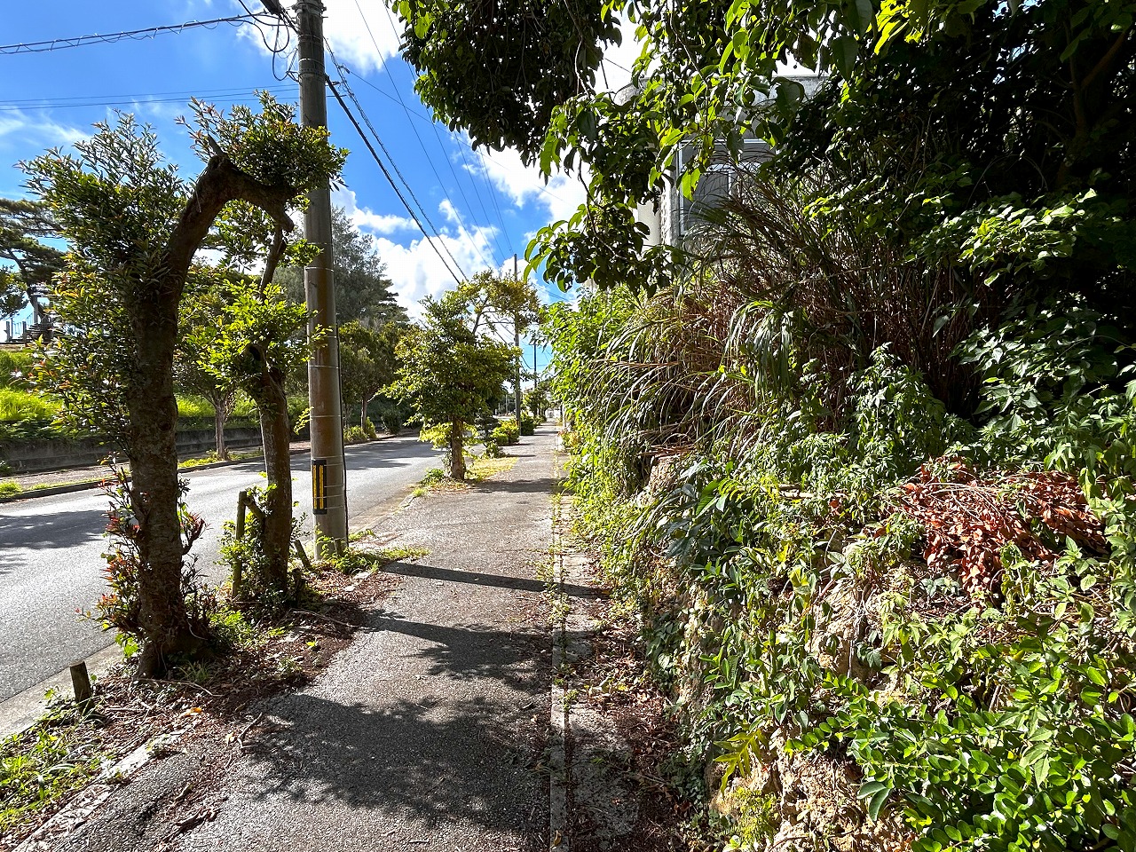 平良下里　大原南公園大通り沿いの角地　約133坪　宅地