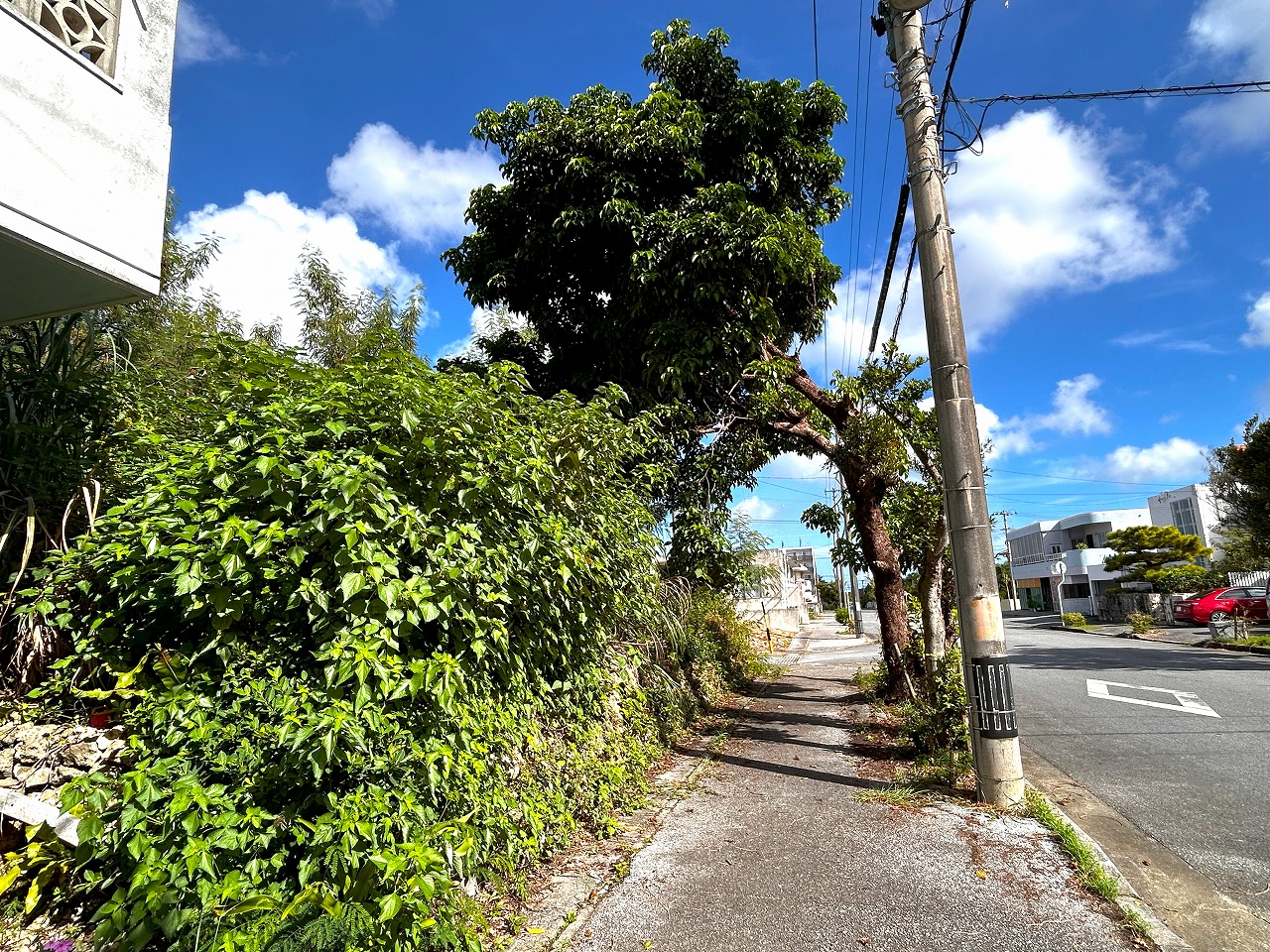 平良下里　大原南公園大通り沿いの角地　約133坪　宅地