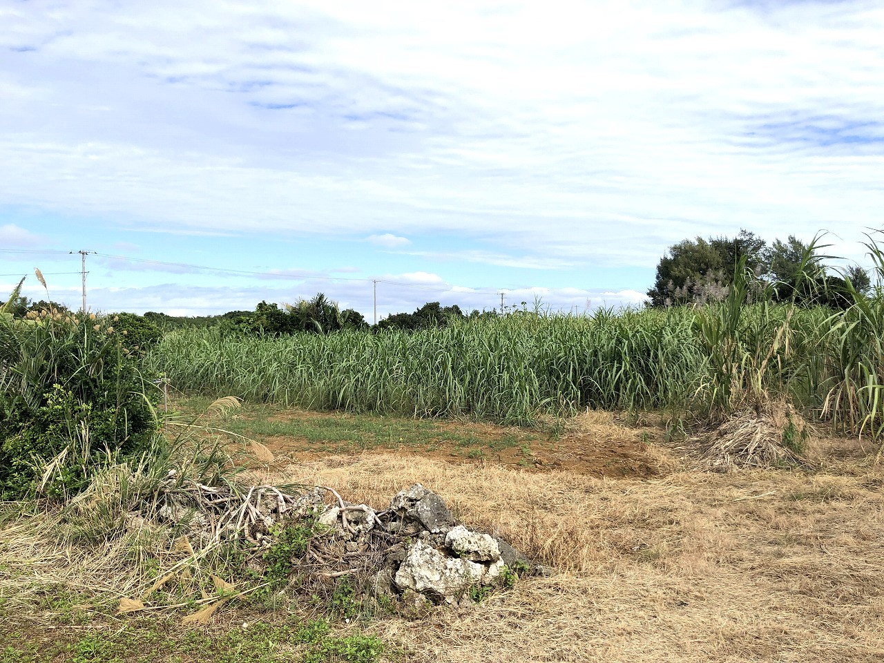 西仲宗根　添道近く　170坪　畑