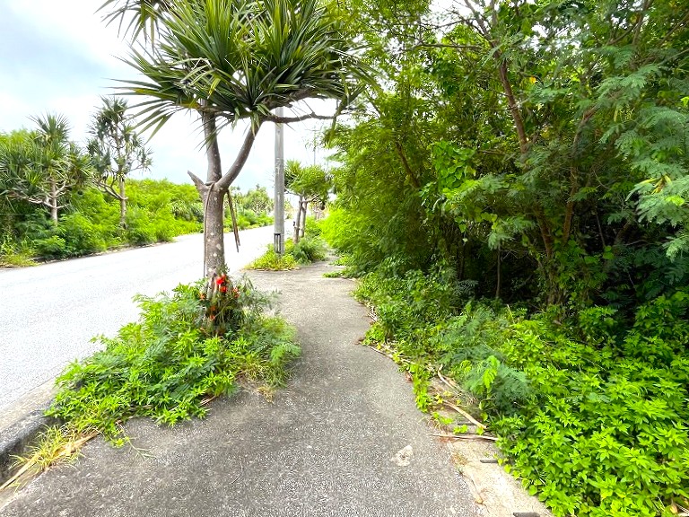 平良荷川取漁港へ続く通り沿い　約2,113坪　畑　