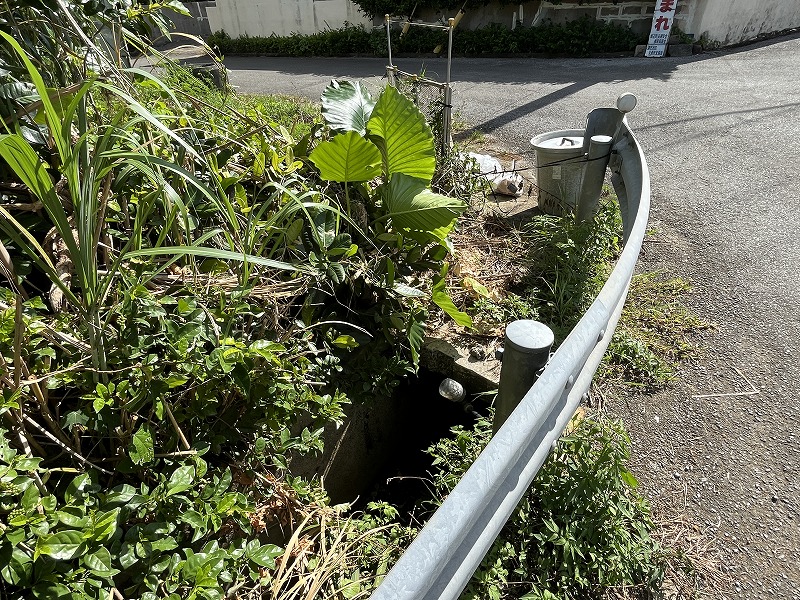 城辺友利 海と夕陽が見える高台　245坪　畑