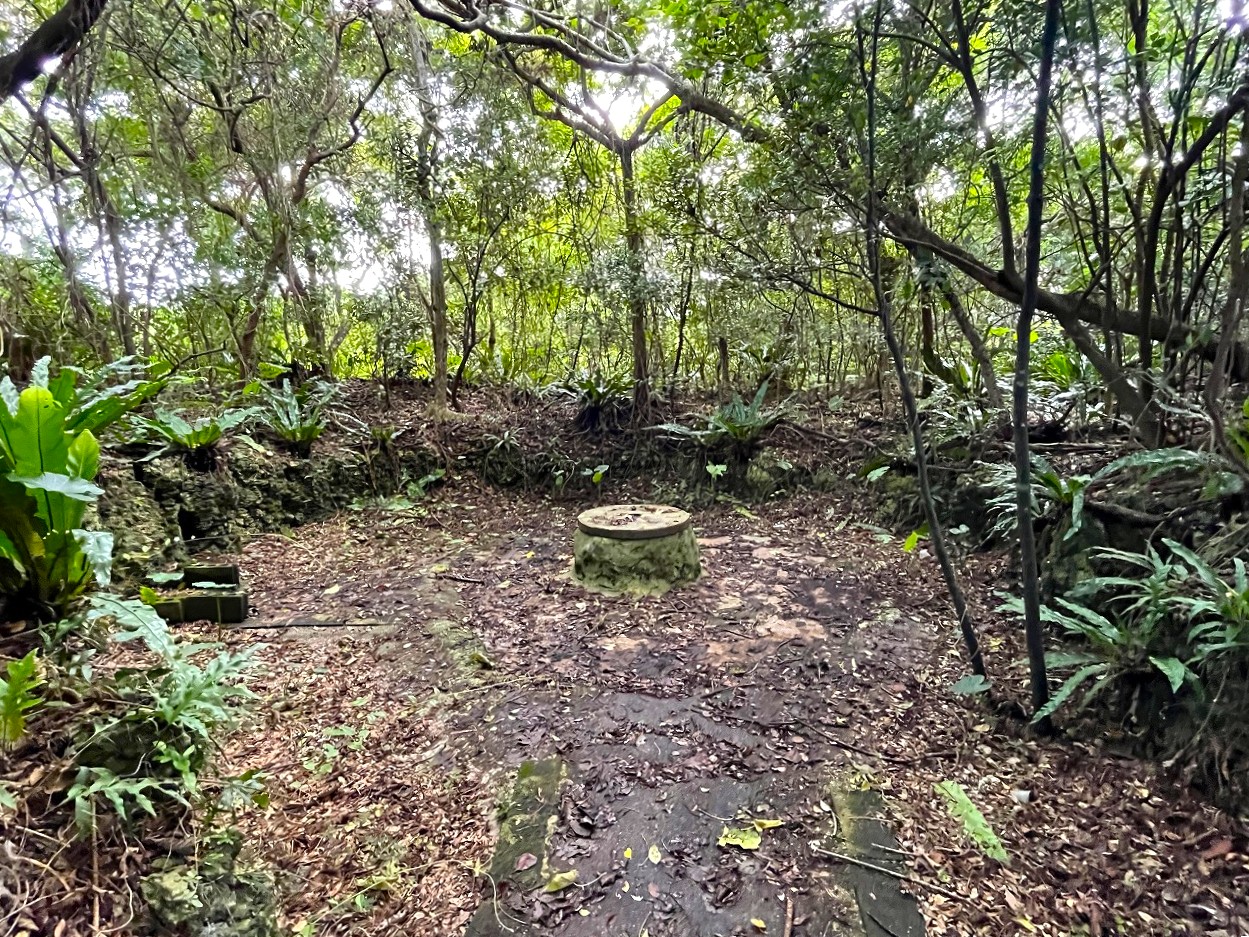 平良西里野原越の城辺線から1本入ってすぐ　739坪　原野