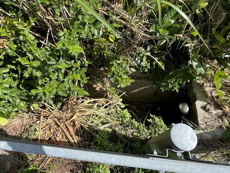 城辺友利 海と夕陽が見える高台　245坪　畑