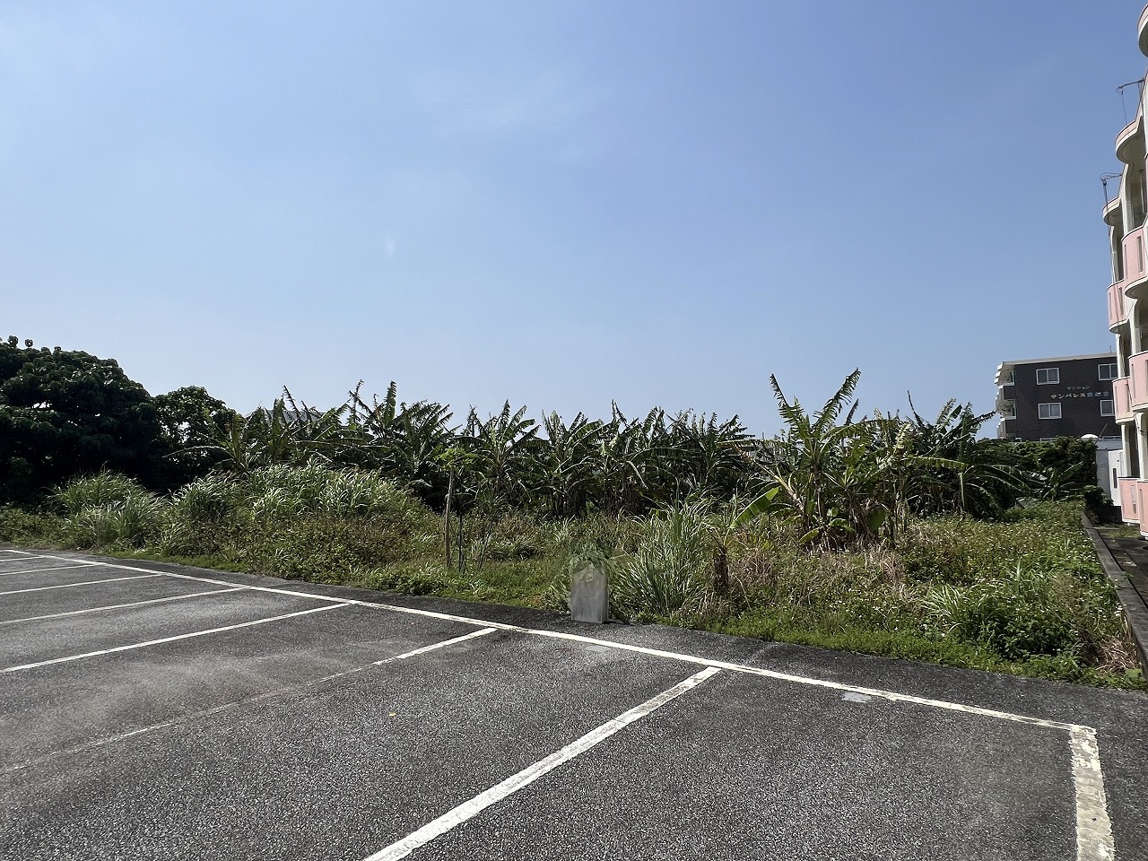 平良下里腰原アパート用地　約294坪　畑