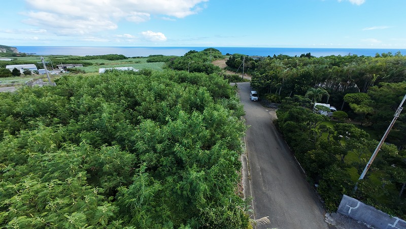 城辺友利 海と夕陽が見える高台　245坪　畑