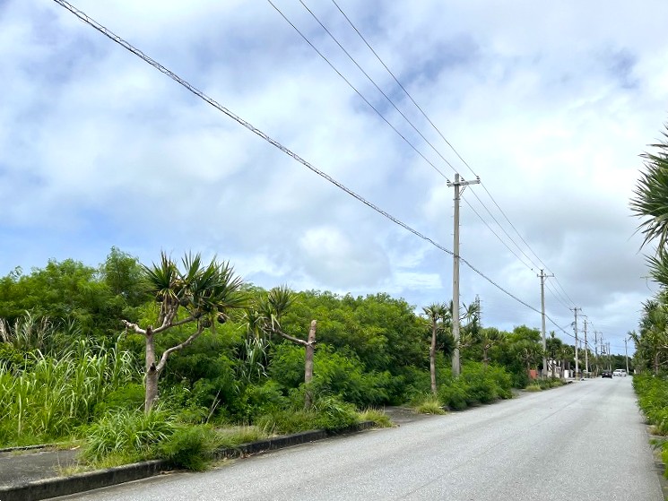 平良荷川取漁港へ続く通り沿い　約2,113坪　畑　