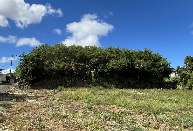 城辺友利 海と夕陽が見える高台　245坪　畑