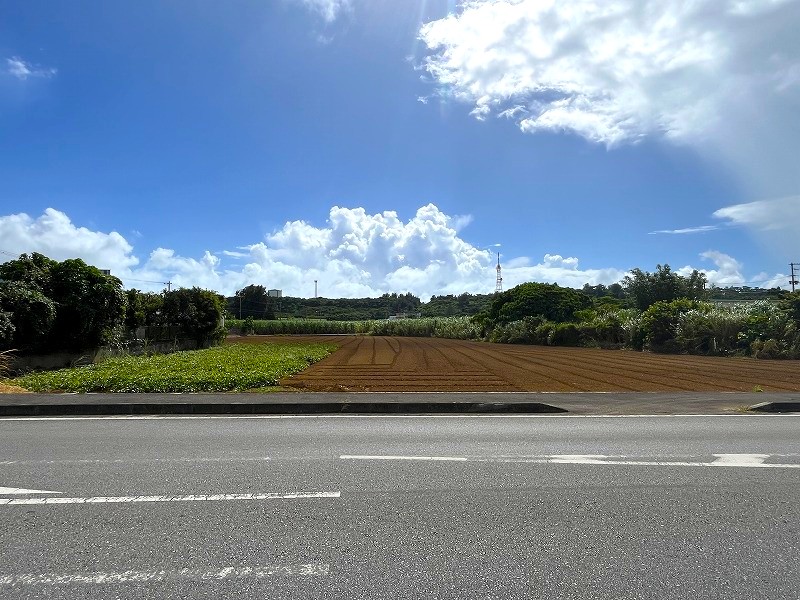 平良西仲宗根　添道の大通り沿いの大きな土地　約1,071坪　畑