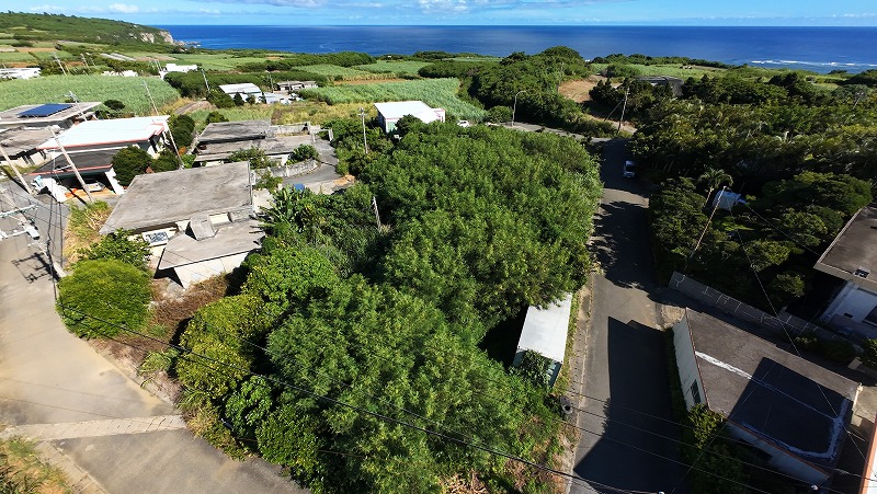 城辺友利 海と夕陽が見える高台　245坪　畑