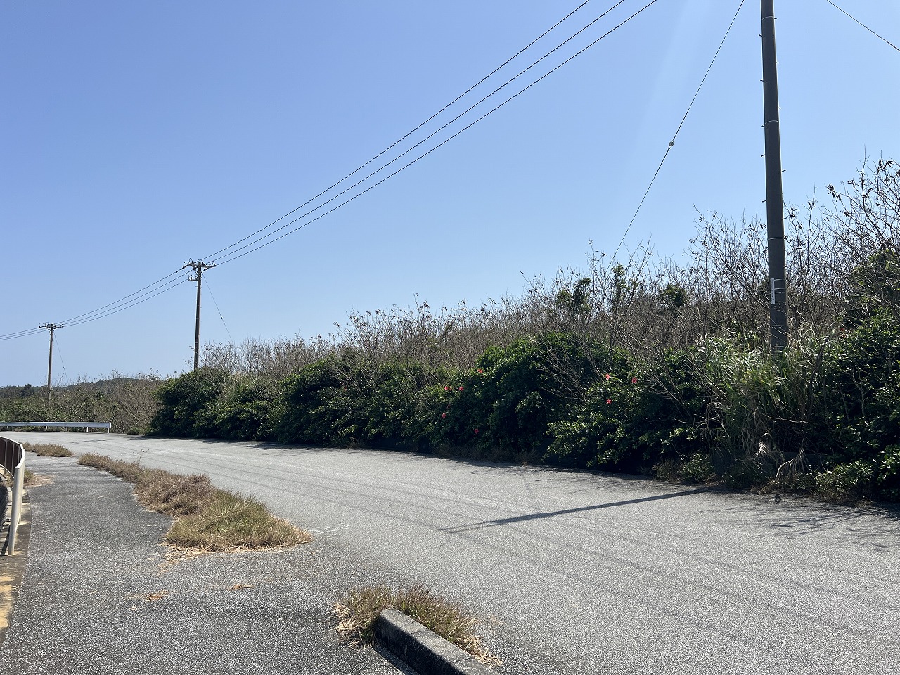 平良狩俣 海が見える土地 約1,747坪 原野