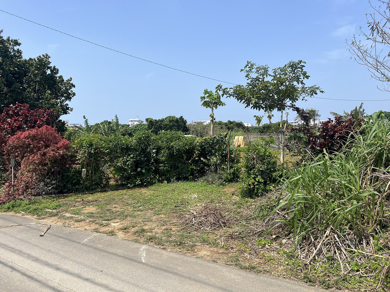 平良下里腰原ひっそりと暮らす　約217坪　原野