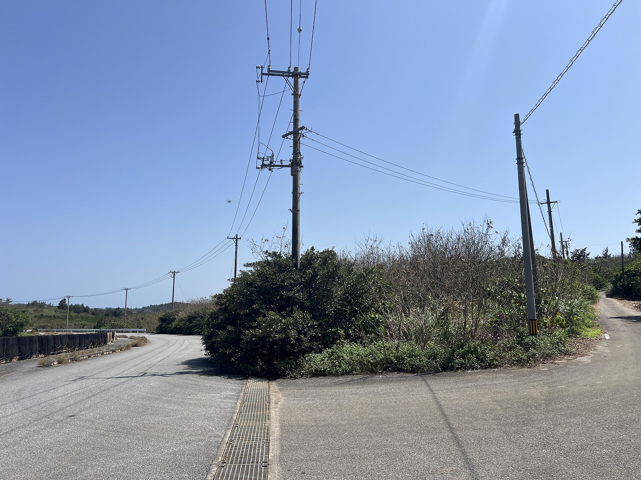 平良狩俣 海を望む角地 約405坪 原野