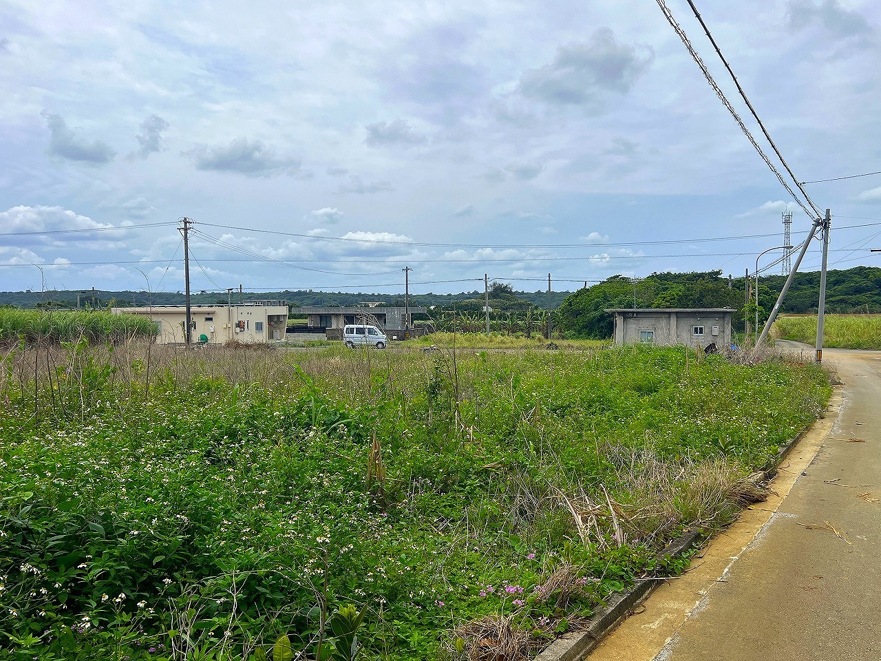 城辺長間でスローライフ 約344坪 畑