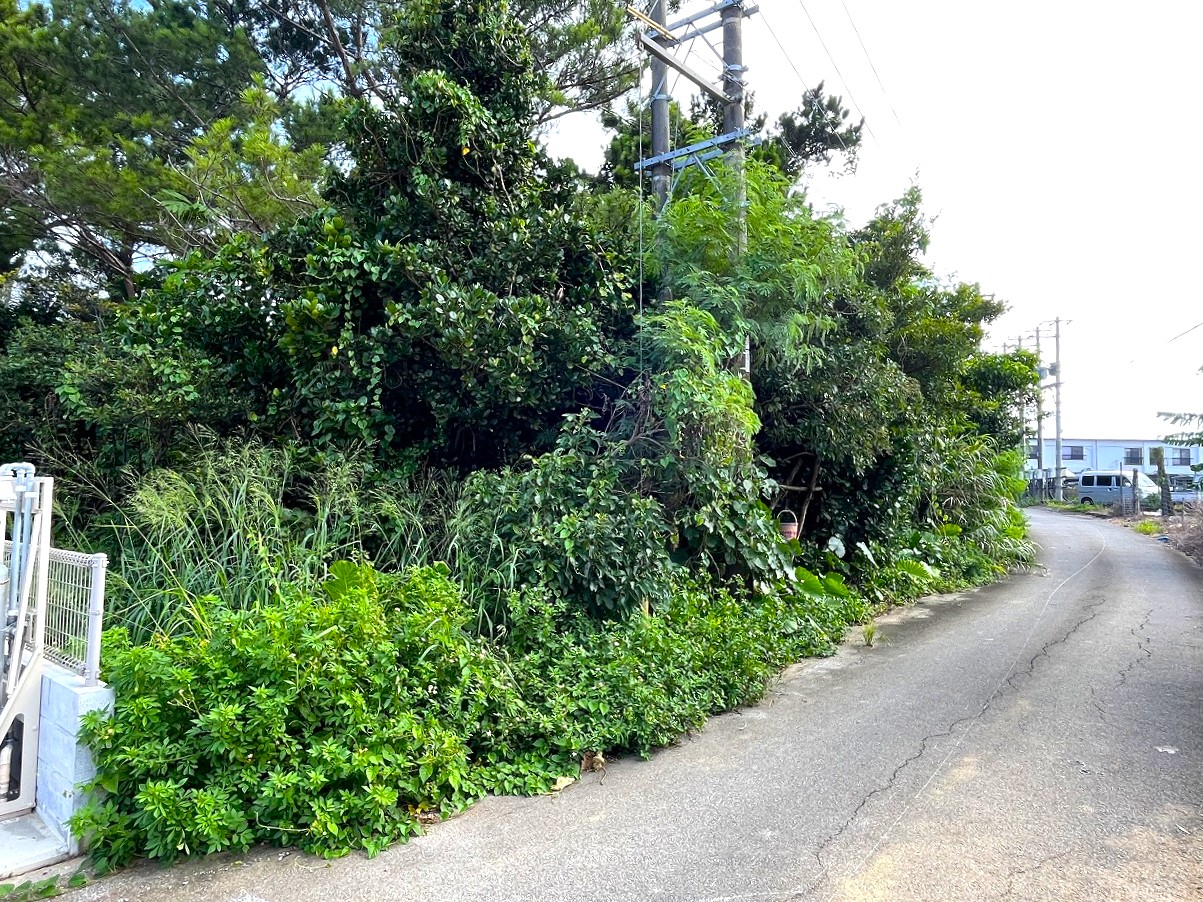 平良西里野原越の城辺線から1本入ってすぐ　739坪　原野