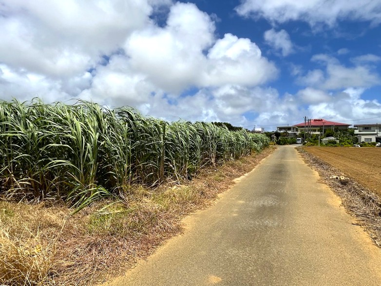 【分筆相談可能】上野新里　Aコープうえの店近くの角地　約689坪　畑