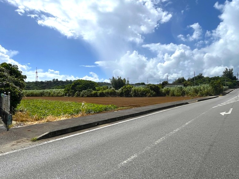 平良西仲宗根　添道の大通り沿いの大きな土地　約1,071坪　畑