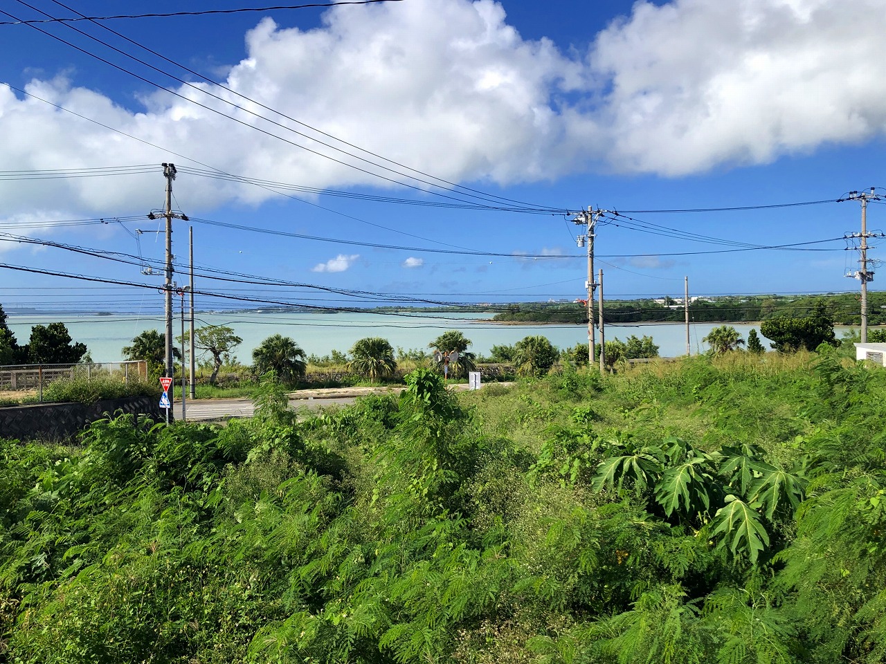 下地 与那覇湾に面した角地　284坪　原野