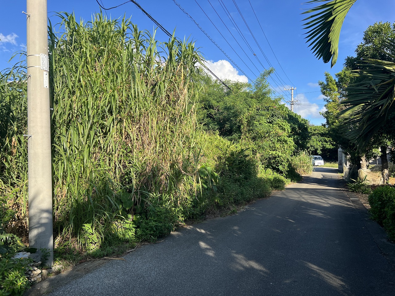 西仲宗根市民球場近く 約140坪 古家あり