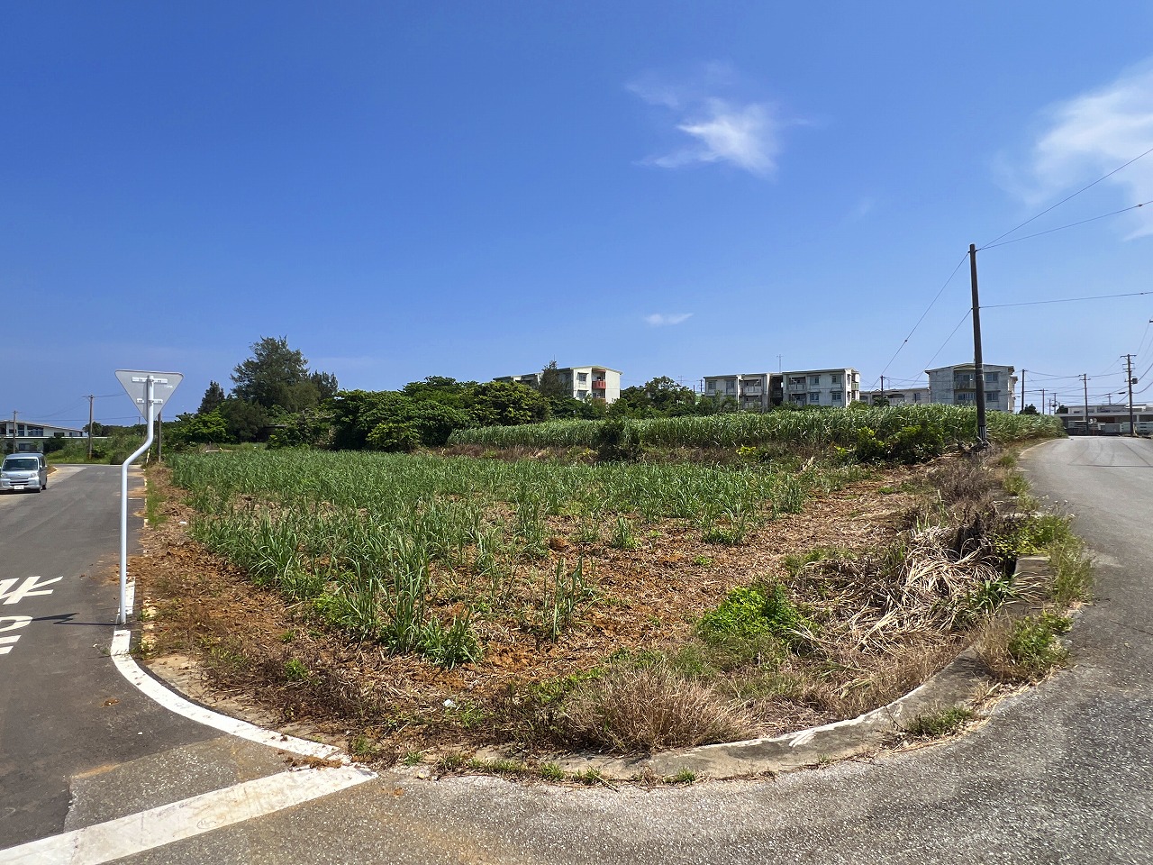 城辺福里 約1,611坪 原野・畑 古屋あり