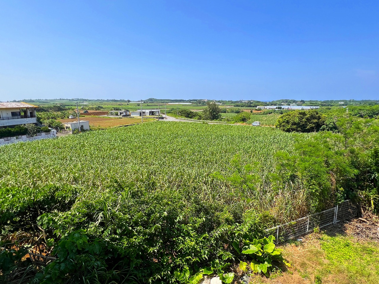 城辺福里団地横の土地　約529坪　畑