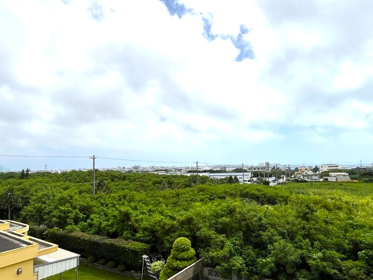 平良荷川取漁港へ続く通り沿い　約2,113坪　畑　