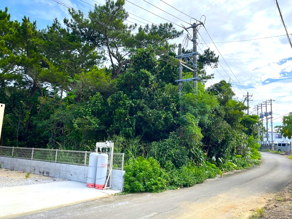 平良西里野原越の城辺線から1本入ってすぐ　739坪　原野